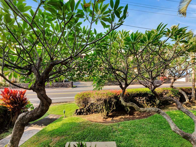Holualoa Castle Kona Bali Kai A Condominium Resort מראה חיצוני תמונה